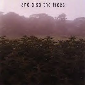 And Also The Trees - And Also The Trees