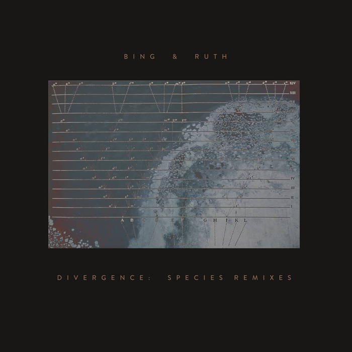 Bing & Ruth - Divergence- Species Remixes (2020)