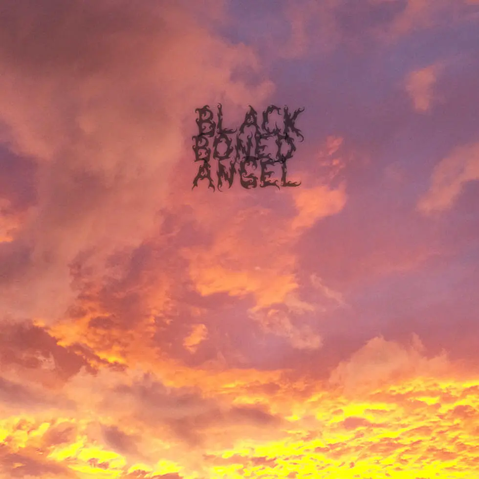 black-boned-angel-2013