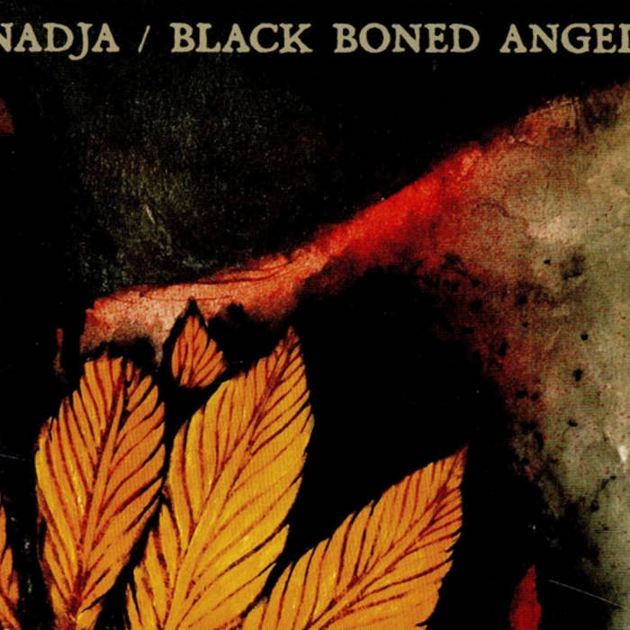 Nadja & Black Boned Angel - Split (2009)