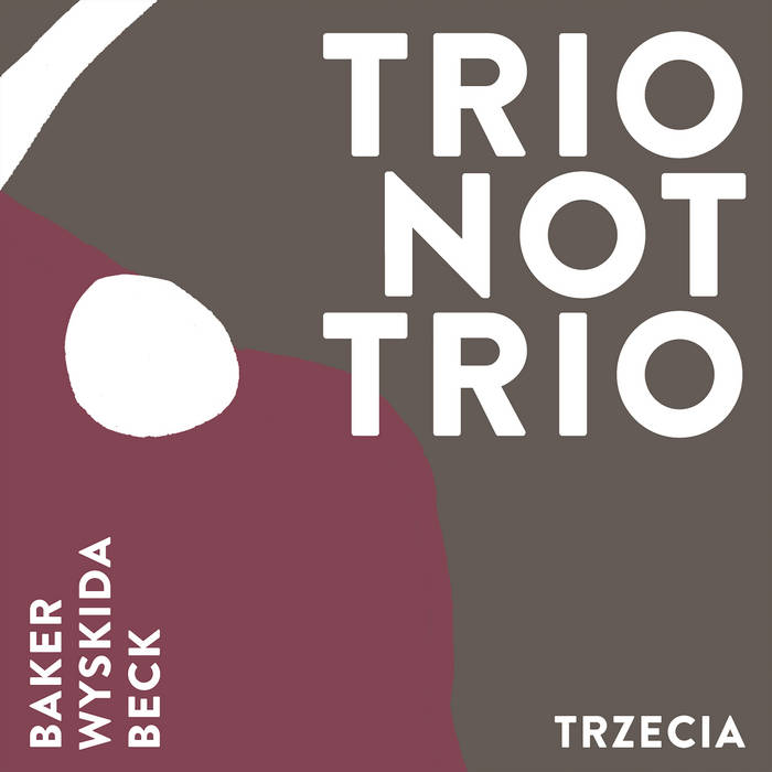 Aidan Baker, Tim Wyzkida & Daron Beck - Trio Not Trio - Trzecia (2024)