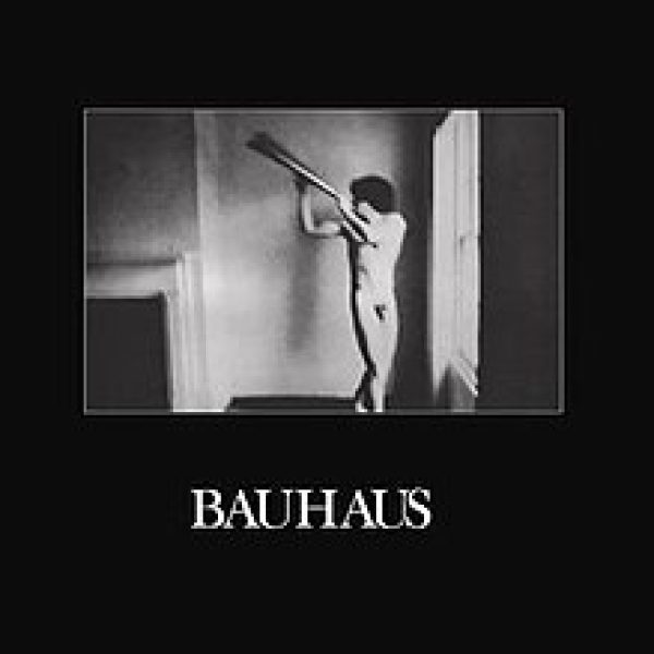 Bauhaus - In The Flat Field (1980)